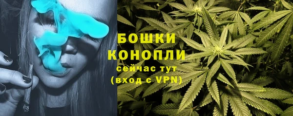 ГАЛЛЮЦИНОГЕННЫЕ ГРИБЫ Алексин