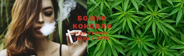гидра Алзамай