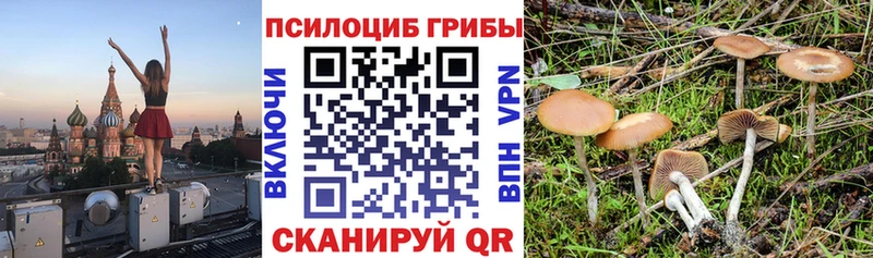 Галлюциногенные грибы Magic Shrooms  Асино 