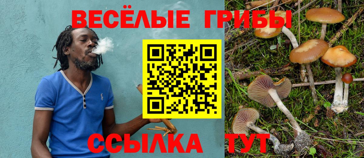 Псилоцибиновые грибы MAGIC MUSHROOMS Асино