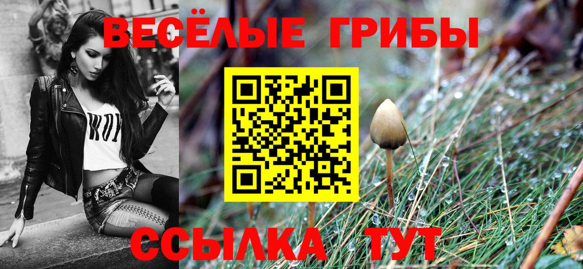 Галлюциногенные грибы Magic Shrooms  Вход с VPN  Асино 