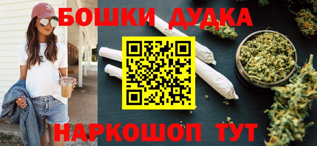 Канабис планчик Асино